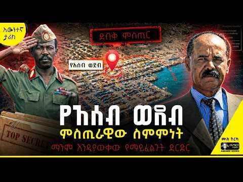 ትረካ - ማንም እንዲያውቀው የማይፈልጉት ድርድር | ውብሸት ታዬ | #assab #tireka #ትረካ #ethiopia #amharicbooks #ታሪክ #history