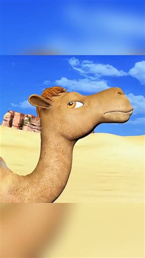 This Camel Had 5 Humps… Then Something Completely Bizarre Happened! 🐪😱#viral #fyp