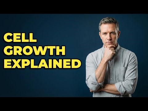 How Does The Nucleus Control Eukaryotic Cell Growth?