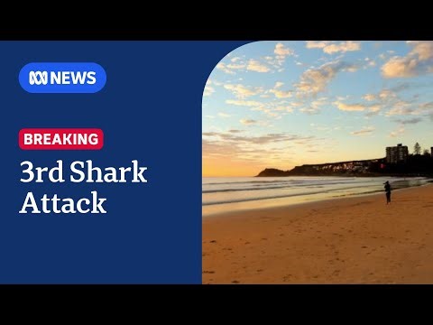 Man attacked by shark in third incident in two days | ABC NEWS