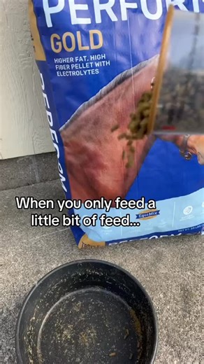 Only feeding a little bit of your horse feed or feeding a product well below the recommended daily feeding rate for your horse’s weight and workload? (Feeding directions are commonly 5-7lbs/day for 1100lb horse.) Be sure that you add in a #TripleCrownFeed ration balancer to help boost daily nutrients and ensure that your #horse is getting everything they need to feel the best. *For easy keepers, a ration balancer is often all they need along with plenty of quality hay or pasture. #horsenutrition