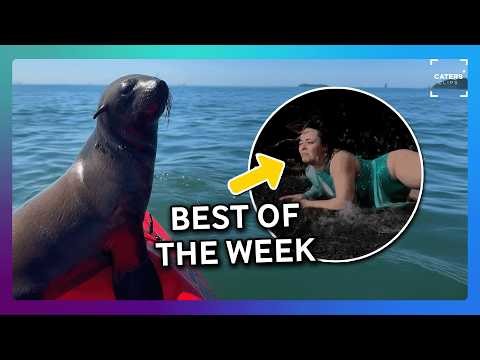 The Best This Week