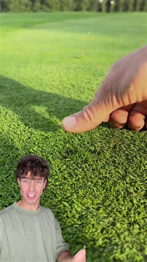 Cuidando los campos de golf empapados | campos de golf