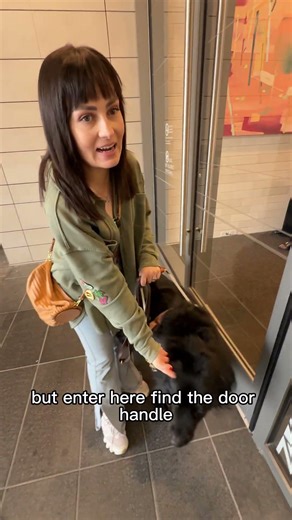 How My Guide Dog Actually Helps Me!