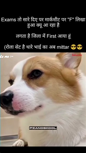 First #viral #memes #trending #popular #funny #funnymemes #tweetreels #explore #dog #lofi