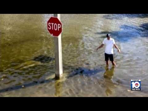 Knee-deep king tide flooding hits Fort Lauderdale, Hollywood