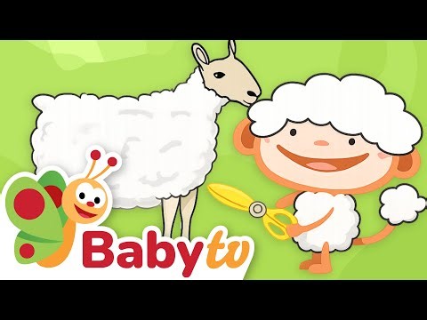 Oliver Meets the Farm Animals - Learning & Tractor Fun | BabyTV