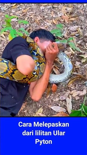 How to Unwind a Python Snake 2026 #python #short