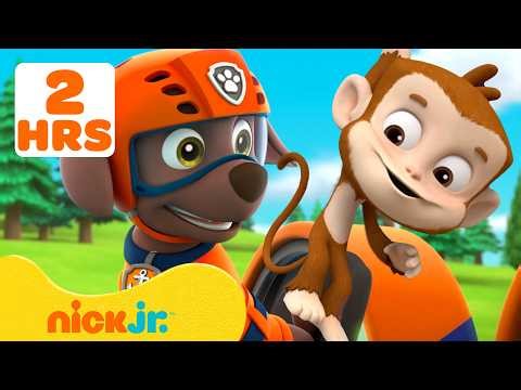 PAW Patrol Animal Rescue Missions in Adventure Bay! #4 🐵 | 120 Minutes | Nick Jr.