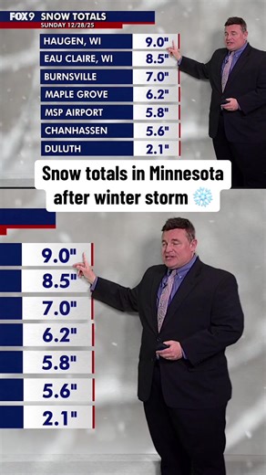 Early Snowfall Totals for Twin Cities and Wisconsin