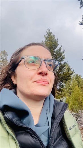 Shelby Regan - Service, Therapy, and Guide Dog Trainer on Instagram: "If you struggle getting your dog to focus when out training, here are some tips that might make things a little easier. #Reinforcement #PositiveReinforcement #Motivators #RPlus #ForceFree #Distractions #DistractionTraining"