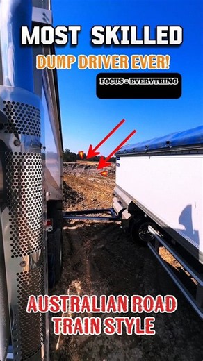Truck And Pup Masterclass👀 #shortvideos #accident