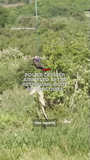 Police officer airlifted after retrieving body of crocodile