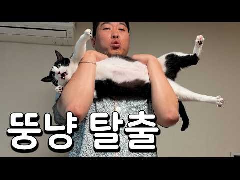 언제까지 뚱땡이로 살거야?