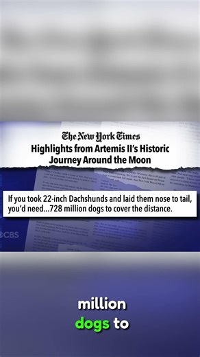 Stephen Colbert RIPS Americans Using Dachshunds to Measure Space 😂 | Late Show Monologue