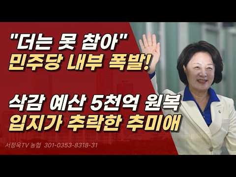 '경기도 마녀' 추미애에 뿔난 민주당, 상의 없이 예산 원상복구, 정치적 압박까지? ㅣ서정욱TV