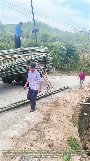 Hoisting the Harvest: How a Crane Truck Loads Bamboo Poles