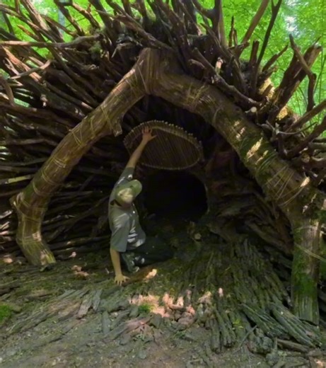 How to Build a Safe Shelter Inside a Tree Trunk