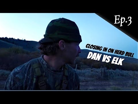 CLOSING IN ON HERD BULL | SOLO RECURVE HUNT | DAN VS ELK EP.3
