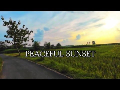 POV: Sunset Ride in a Peaceful Indonesian Village 🇮🇩