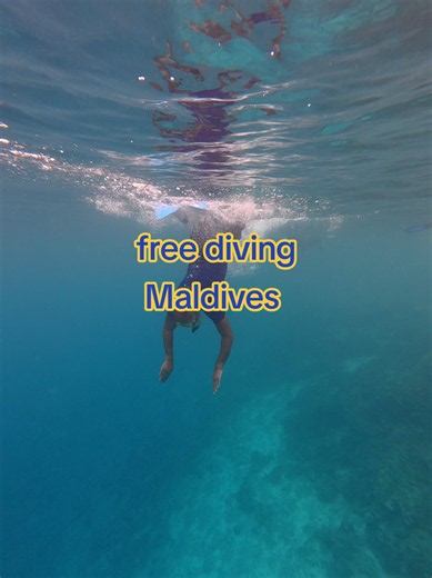 explore the #underwater #tropical #snorkeling #Maldives The Maldives features several standout house reefs renowned for vibrant coral gardens, easy shore access, and rich marine life including reef sharks, turtles, and rays