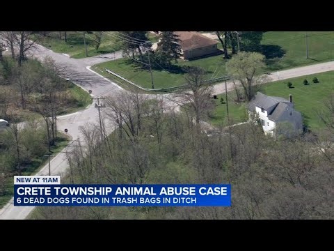 Reward offered after 6 dogs found dead in Crete Township