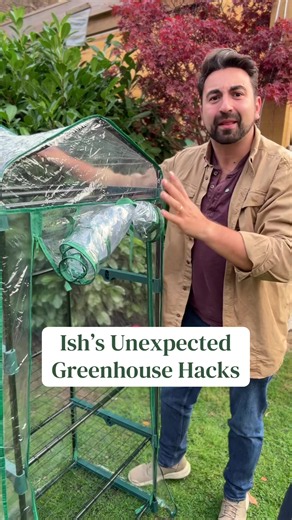 Don’t ignore your greenhouse in the winter months - it’s still very useful! Todays gardening tips are creative ways you can utilise the budget friendly plastic greenhouses to help keep costs down or help with small spaces. Let us know if you have any clever hacks for your Polytunnel greenhouse #gardeningtips #cleverhacks #gardenhacks #greenhouse #autumn