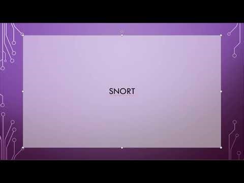 pPYTH - Snort et dodgem