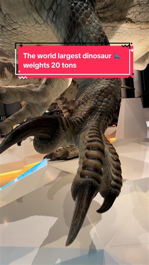 World's Largest Dinosaur Weighed 20 Tons