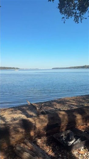 | Where the Shoreline Takes Over… Potomac River