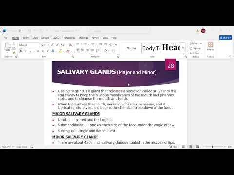 DIGESTIVE SYSTEM SALIVARY GLANDS (Major and Minor)DENTAL MLT RADILOGY part 2