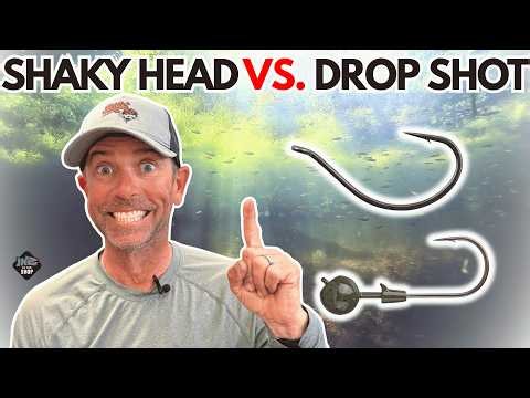Shaky head VS. Drop Shot | In The Shop