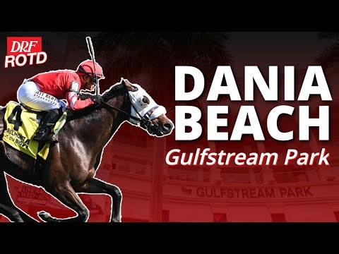 Dania Beach Stakes Preview at Gulfstream Park | DRF Thursday ROTD