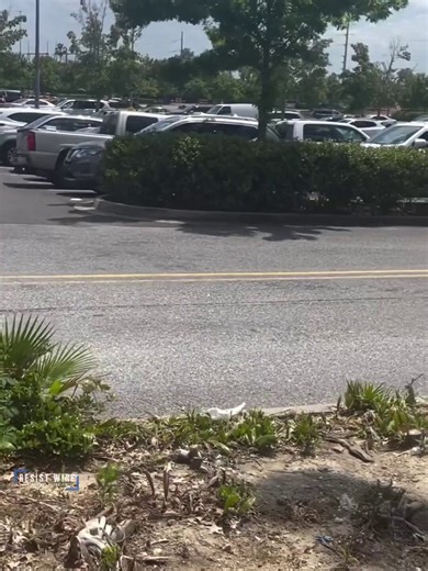 🚨🇺🇸#BREAKING | NEWS ⚠️Active event update at least six people hospitalized after a shooting at the Mall of Louisiana, Georgia, massive police and emergency response please avoid the area.