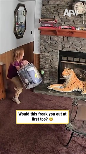 How did a TIGER get in here!? 🐅 #afv #funny | animals videos