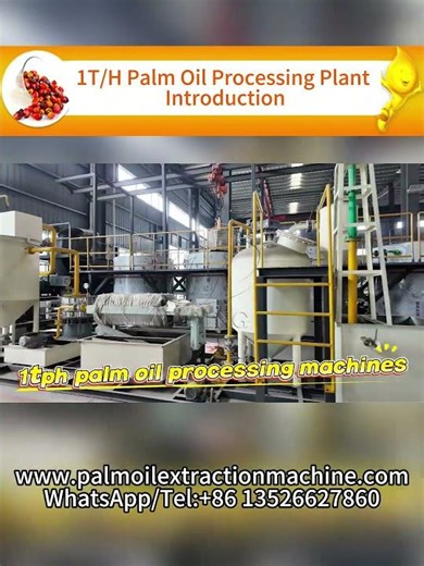 Palm Oil Processing Plant Tour - Palm Oil Mill Machine I Screw Press, Sterilizer, Clarifier