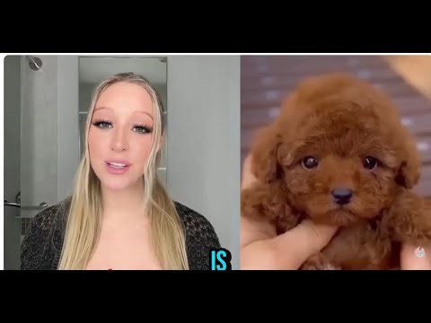 WUFFY robot dog ✅ Is the Wuffy Worth It?✅ Does Wuffy Robot Puppy Really good? Wuffy Robot puppy