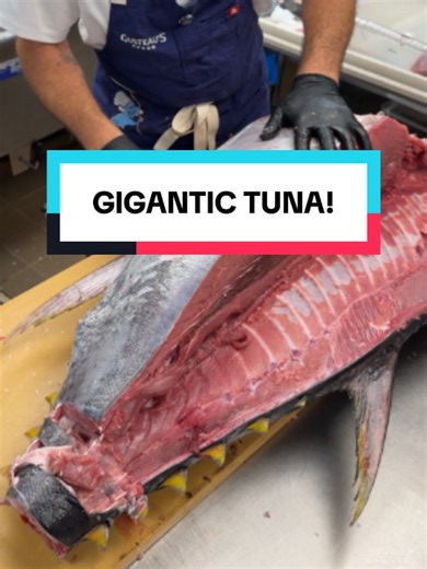 It all starts with this GIGANTIC tuna 🤤 Seahorse in NYC gives the dry-aged porterhouse experience... to tuna! #FoodNetworkFinds