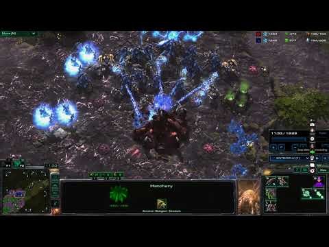 How to Beat Very Hard Protoss AI as Zerg | StarCraft 2 Guide