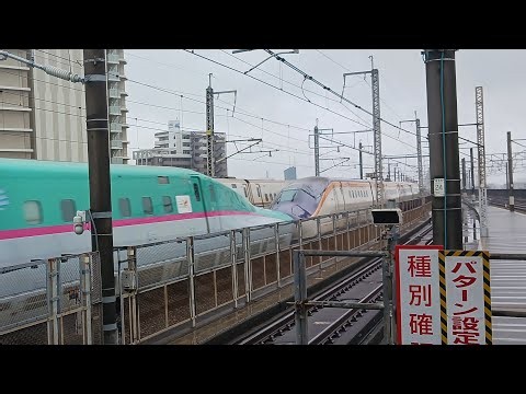 E5系+E8系武蔵浦和駅横を通過するシーン