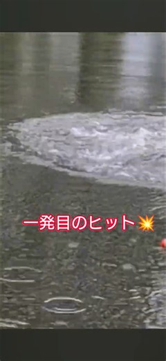 # #fishing #へらぶな釣り