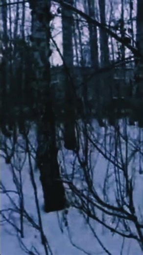 больше музыки в тгк: ploxiesinthy #producertok #witchhouse #вичуха
