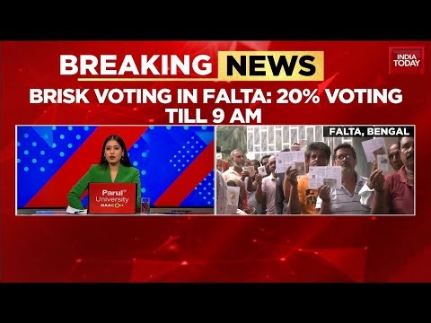 WB Polls: Fulta Re-Polling High Turnout As Voters Cast Ballots Without Fear After TMC Candidate Exit