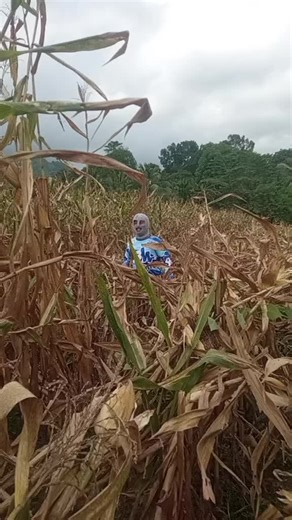 The Power Rangers: Iconic Highlights and Memorable Moments