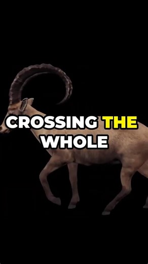 Ancient Prophecy, Modern Times #Prophecy #Daniel #BibleTruth