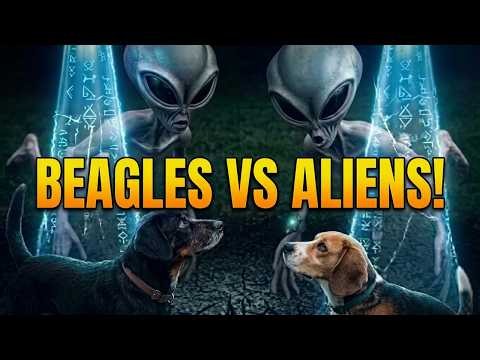 THE BEAGLES' ENCOUNTER WITH SPACE ALIENS | Wait, what do dogs know about Aliens?