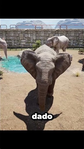 Él le devolvió su zapato 🐘