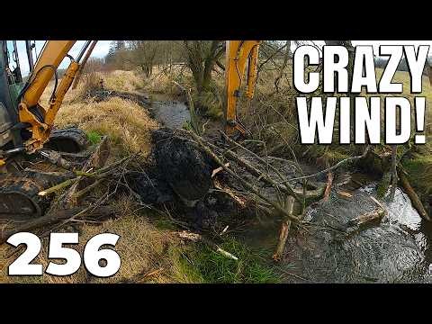 Heavy WIND and DEEP MUD | Beaver Dam Removal With Excavator | No.256