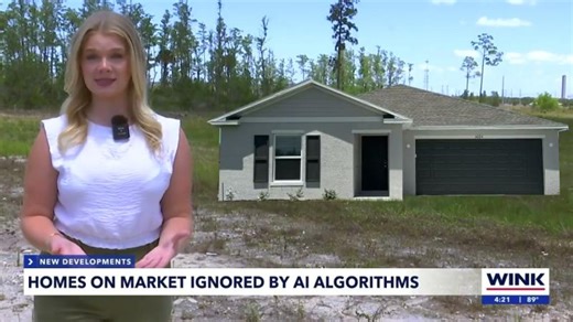 WINK News: Fort Myers Real Estate Market Hits Stable Plateau | Ellis Team Update | Brett Ellis