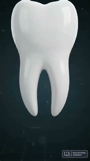 🦷 What is Root Canal Treatment?